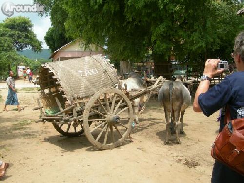 TAXI